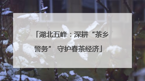 湖北五峰：深耕“茶乡警务” 守护春茶经济