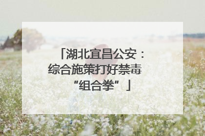 湖北宜昌公安：综合施策打好禁毒“组合拳”