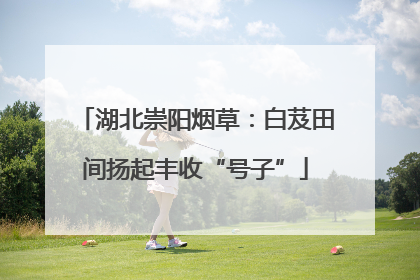 湖北崇阳烟草：白芨田间扬起丰收“号子”