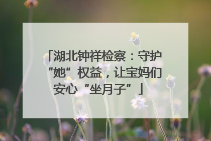 湖北钟祥检察：守护“她”权益，让宝妈们安心“坐月子”