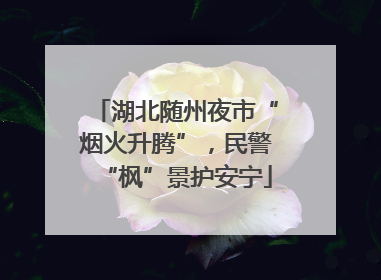 湖北随州夜市“烟火升腾”，民警“枫”景护安宁