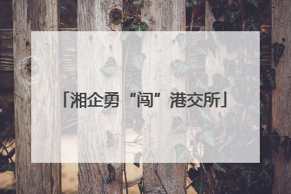 湘企勇“闯”港交所