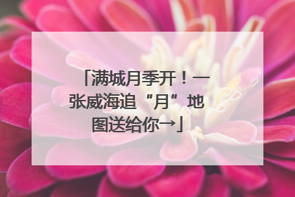 满城月季开！一张威海追“月”地图送给你→