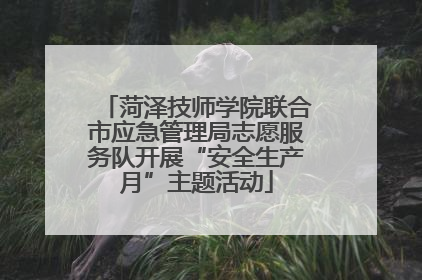 菏泽技师学院联合市应急管理局志愿服务队开展“安全生产月”主题活动