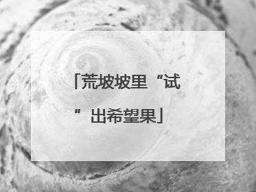 荒坡坡里“试”出希望果