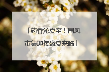 药香沁夏至！国风市集迎接盛夏来临