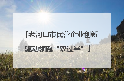 老河口市民营企业创新驱动领跑“双过半”