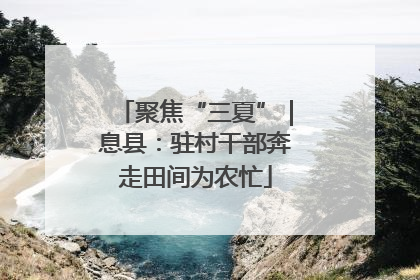 聚焦“三夏”｜息县：驻村干部奔走田间为农忙