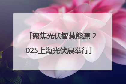 聚焦光伏智慧能源 2025上海光伏展举行