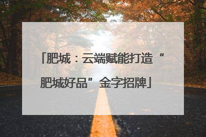 肥城：云端赋能打造“肥城好品”金字招牌