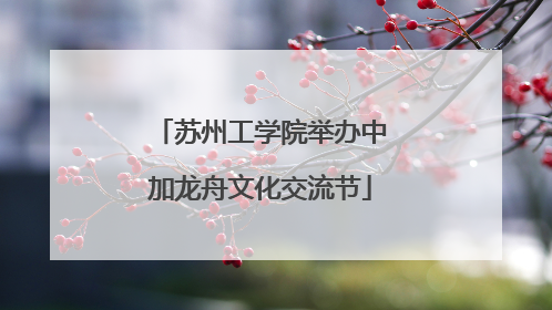 苏州工学院举办中加龙舟文化交流节