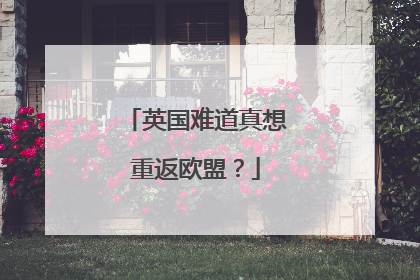 英国难道真想重返欧盟？