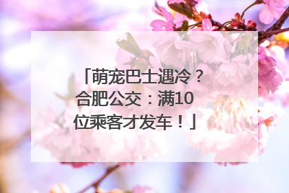 萌宠巴士遇冷？合肥公交：满10位乘客才发车！