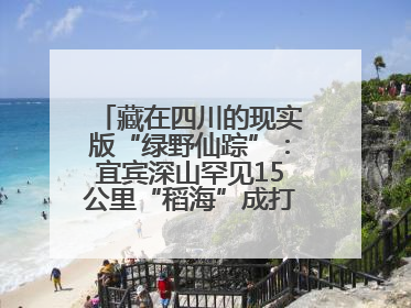 藏在四川的现实版“绿野仙踪”：宜宾深山罕见15公里“稻海”成打卡新地标