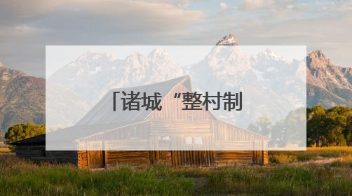 诸城“整村制”经营铺就富民强村路，合作社迎来大丰收