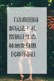 诗意田园新玩法！礼贤镇让生态林地变身惠民新乐园