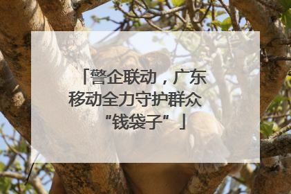 警企联动，广东移动全力守护群众“钱袋子”