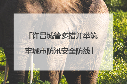 许昌城管多措并举筑牢城市防汛安全防线