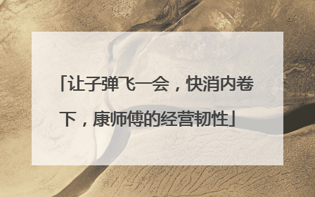 让子弹飞一会，快消内卷下，康师傅的经营韧性