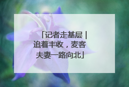 记者走基层｜追着丰收，麦客夫妻一路向北