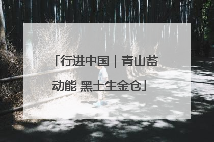 行进中国｜青山蓄动能 黑土生金仓