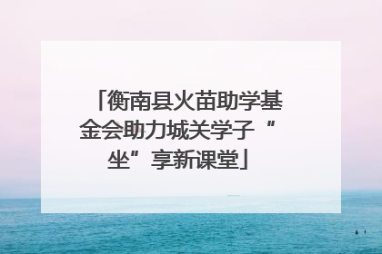 衡南县火苗助学基金会助力城关学子“坐”享新课堂