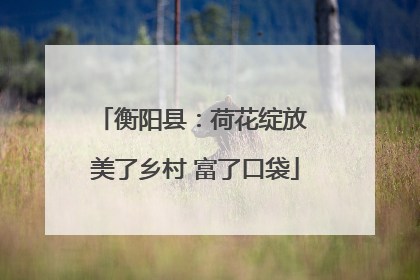 衡阳县：荷花绽放 美了乡村 富了口袋