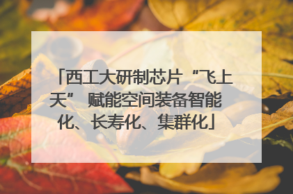 西工大研制芯片“飞上天” 赋能空间装备智能化、长寿化、集群化