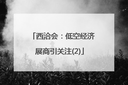 西洽会：低空经济展商引关注(2)
