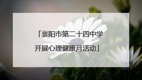 襄阳市第二十四中学开展心理健康月活动