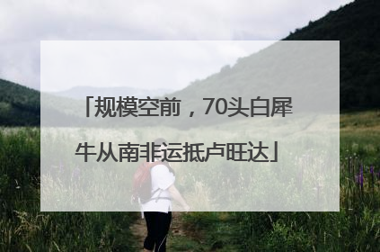规模空前，70头白犀牛从南非运抵卢旺达