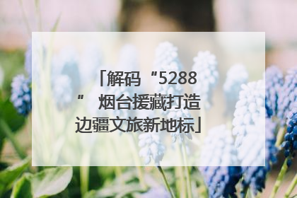 解码“5288” 烟台援藏打造边疆文旅新地标