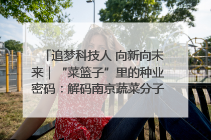 追梦科技人 向新向未来｜“菜篮子”里的种业密码：解码南京蔬菜分子育种的创新之路