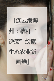 连云港海州：秸秆“逆袭”绘就生态农业新画卷