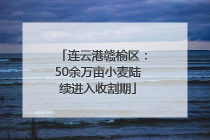 连云港赣榆区：50余万亩小麦陆续进入收割期