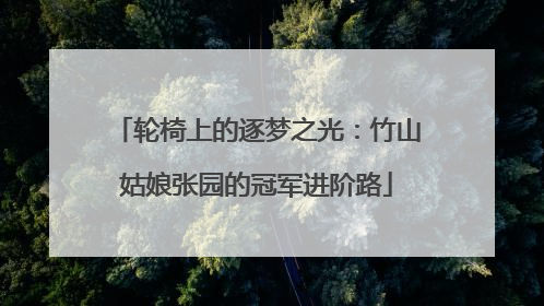 轮椅上的逐梦之光：竹山姑娘张园的冠军进阶路