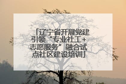 辽宁省开展党建引领“专业社工+志愿服务”融合试点社区建设培训
