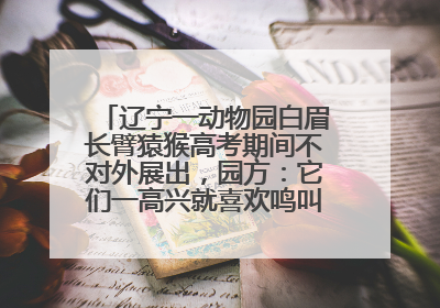 辽宁一动物园白眉长臂猿猴高考期间不对外展出，园方：它们一高兴就喜欢鸣叫，怕影响考试