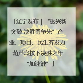 辽宁发布｜“振兴新突破 决胜勇争先”产业、项目、民生齐发力 葫芦岛按下决胜之年“加速键”