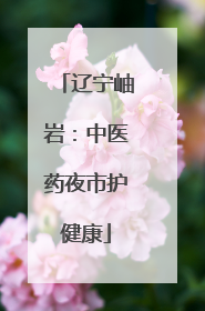 辽宁岫岩：中医药夜市护健康