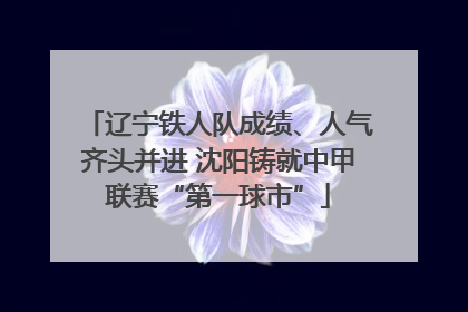 辽宁铁人队成绩、人气齐头并进 沈阳铸就中甲联赛“第一球市”