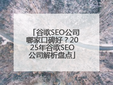 谷歌SEO公司哪家口碑好？2025年谷歌SEO公司解析盘点