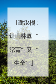 谢汝根：让山林既“常青”又“生金”