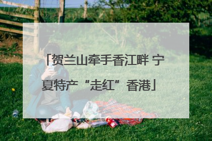 贺兰山牵手香江畔 宁夏特产“走红”香港