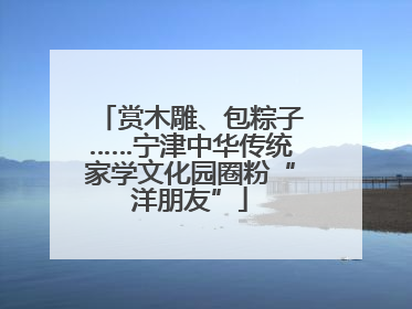 赏木雕、包粽子……宁津中华传统家学文化园圈粉“洋朋友”