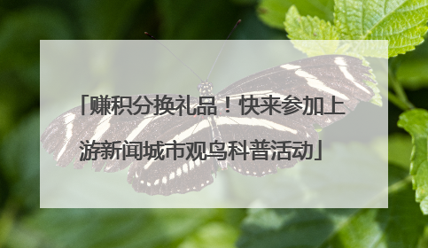 赚积分换礼品！快来参加上游新闻城市观鸟科普活动