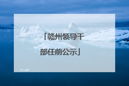 赣州领导干部任前公示