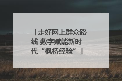 走好网上群众路线 数字赋能新时代“枫桥经验”