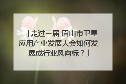走过三届 眉山市卫星应用产业发展大会如何发展成行业风向标？