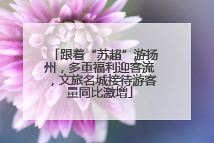 跟着“苏超”游扬州，多重福利迎客流，文旅名城接待游客量同比激增